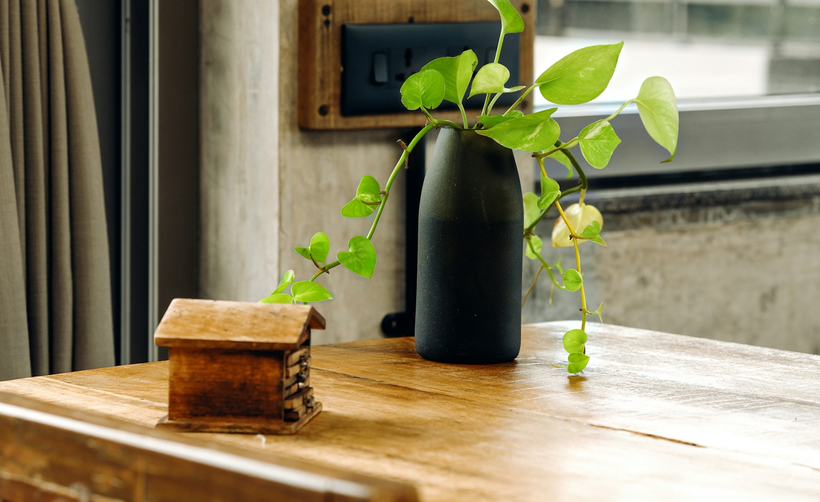 A calm, reassuring home interior